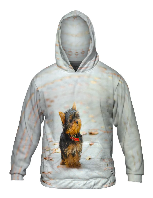 Curious Yorkie Puppy Sophisticated Men's French